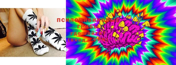 амф Туринск