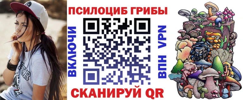 Купить закладки  Курск  Псилоцибиновые грибы Psilocybe 