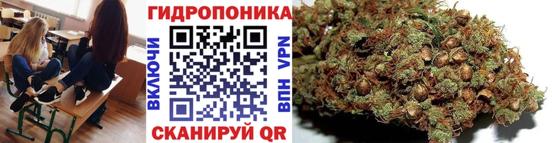 Купить где  Курск  Конопля OG Kush 